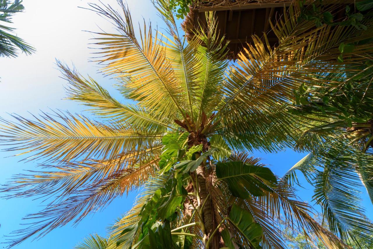 Hotel Villas Tiburon Holbox Eksteriør billede